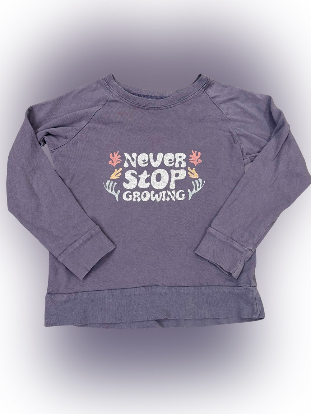 Mini Mioche “Never Stop Growing” Long Sleeve Tee Size 3/4
